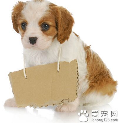 制定篮球交流计划以促进个人技能发展的方法_0